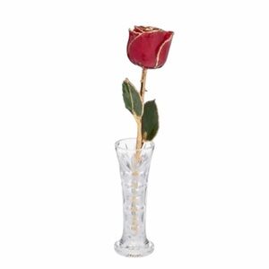 The Forever Rose Red 24K Gold Trimmed Forever Rose with Vase